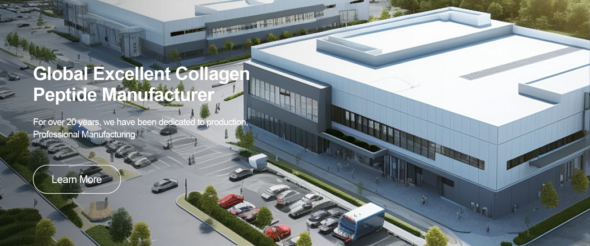 Global Excellent Collagen Peptide Manufacturer